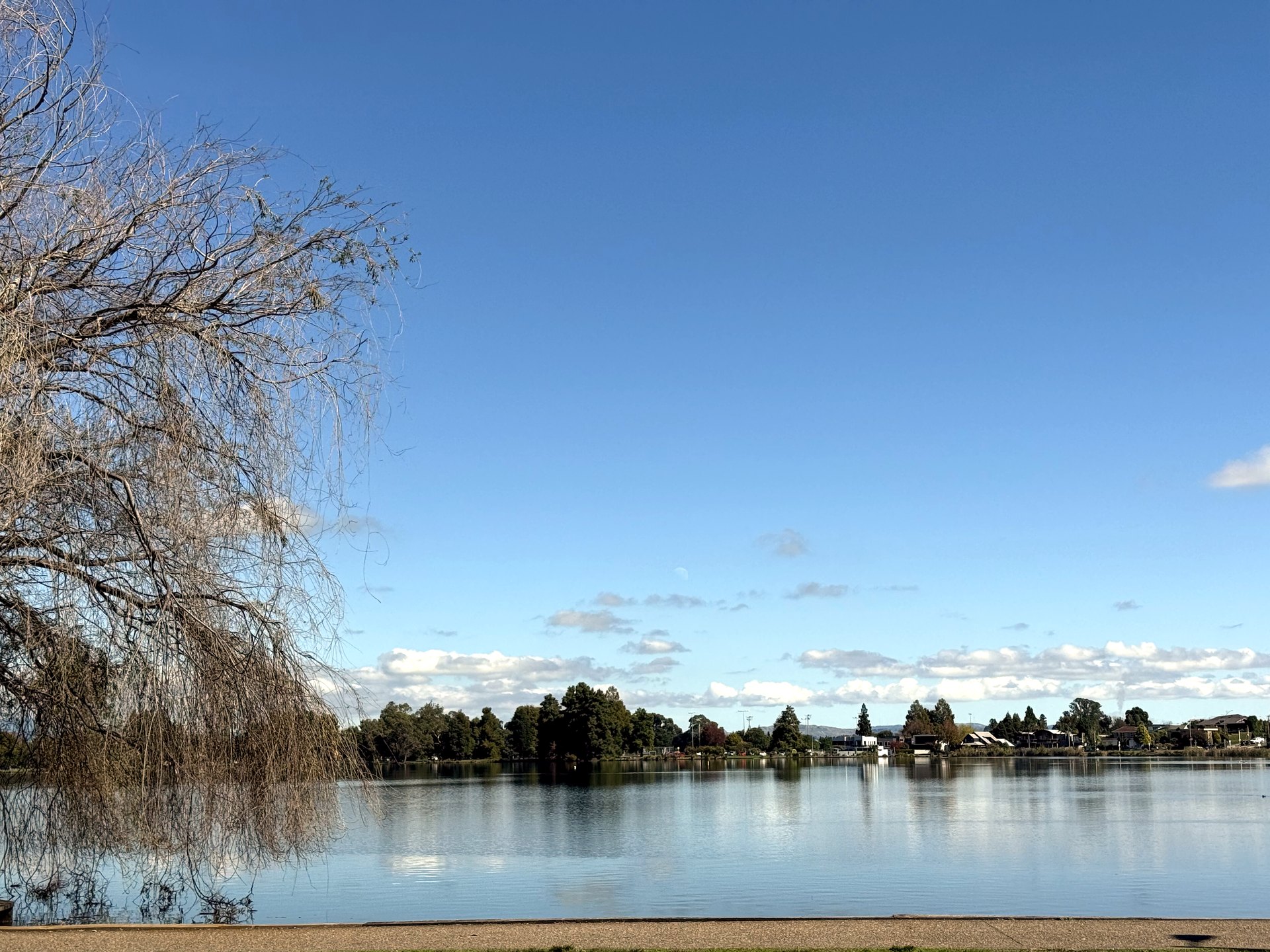 晴天下的 Lake Rotoroa(汉密尔顿湖)